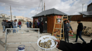 Cinq Palestiniens tués lors d'un raid des forces israéliennes à Jéricho