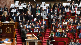 France's Macron rams through pension reform without vote