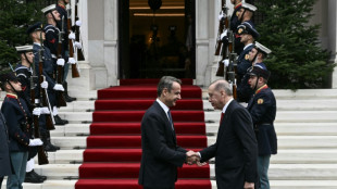 Erdogan et Mitsotakis déterminés à surmonter divergences et tensions gréco-turques