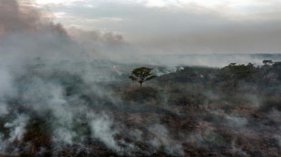 Las emisiones de CO2 de la Amazonía se dispararon durante el gobierno de Bolsonaro, según un estudio