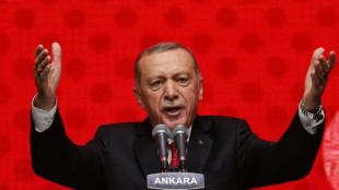 Erdogan: Turkey's mercurial 'chief' in fight of political life