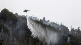 Feuerwehr bekämpft Glutfeuer in Waldbrandgebiet in Sächsischer Schweiz