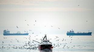 Pour s'attaquer à la surpêche, l'UE va durcir les contrôles et mieux surveiller les navires