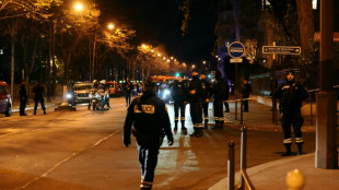 Attacker stabs German tourist to death in Paris