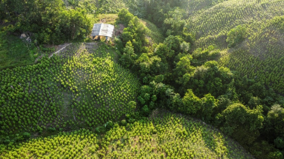 Tibu, le "no man's land" colombien qui accueille les pourparlers de paix