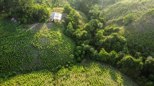 Tibu, le "no man's land" colombien qui accueille les pourparlers de paix