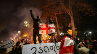 Tens of thousands rally in Georgia, PM rebuffs calls for new vote