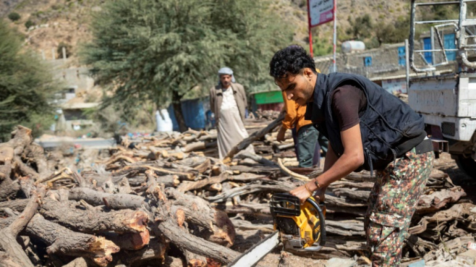 War-weary Yemenis fell trees for fuel, cash