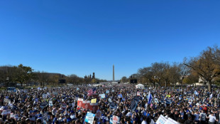 A Washington, vaste rassemblement de soutien à Israël et pour "ramener les otages"