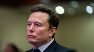 Musk, 'Zelensky il più grande campione di furti'