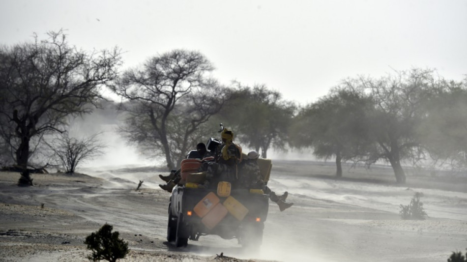 Niger: au moins 17 soldats tués dans une attaque près du Mali