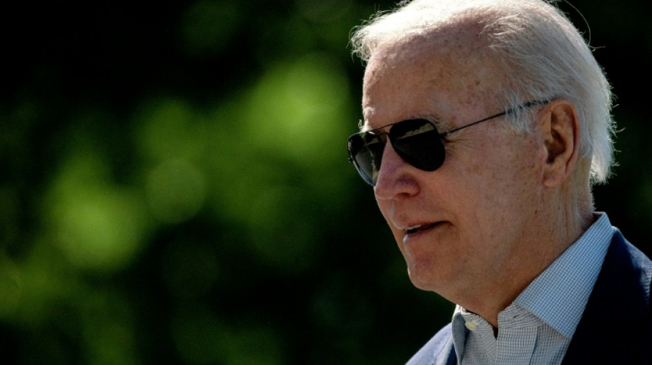 US lays out more pledges as Biden woos Latin American leaders