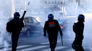 Polizei setzt Tränengas gegen Teilnehmer von Protestkonvoi in Paris ein