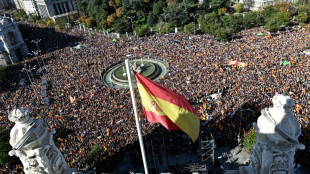 "A l'aide, l'UE": une foule d'Espagnols proteste contre l'amnistie des indépendantistes catalans