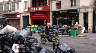 Rubbish piles up in strike-bound Paris