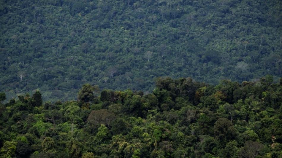 Brazil lawmakers vote to limit demarcation of Indigenous reserves