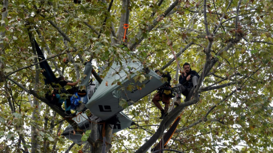 Autoroute Toulouse-Castres: un opposant délogé de son arbre face au ministère de la Transition écologique