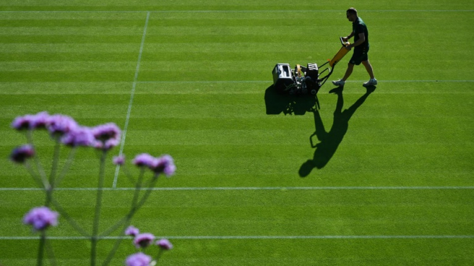 Wimbledon courts chief has global vision for tennis on grass