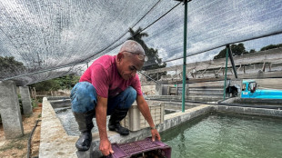 La acuaponía, una alternativa ante la escasez de pescado en Cuba