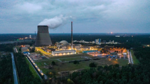 Bundestag debattiert über Unionsantrag auf Atom-Untersuchungsausschuss