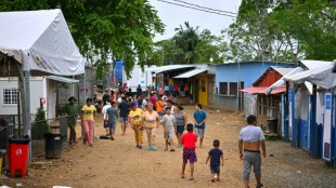 MSF retoma atendimento a migrantes na floresta panamenha de Darién