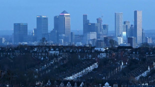 UK property investors include Kremlin allies: study