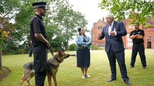 Britischer Premier wegen Evakuierung von Haustieren aus Kabul unter Druck