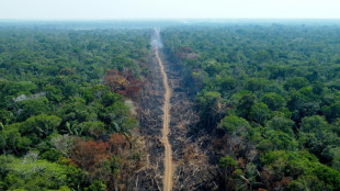 Brasil precisa investir 0,5% do PIB para atingir metas climáticas, diz Banco Mundial