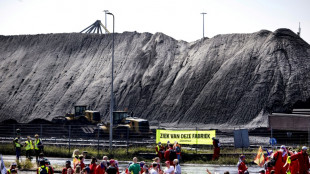 Plusieurs centaines d'activistes forcent les barrières d'un site de Tata Steel  