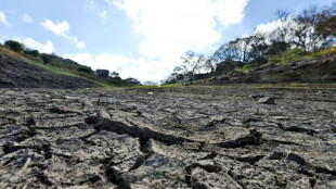 Honduras declara alerta en 64 municipios amenazados por sequía