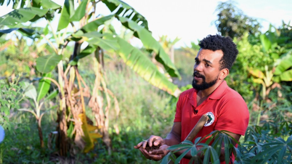 A briga do Movimento Sem Terra com o agronegócio no Brasil de Lula