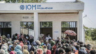 Bitter race for top UN migration job enters home stretch