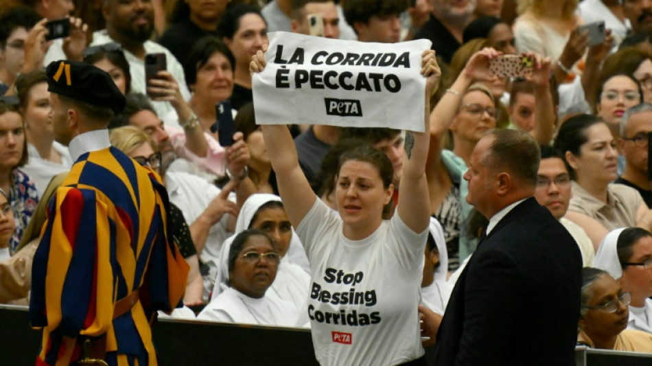 Activists against bullfighting disrupt pope's audience