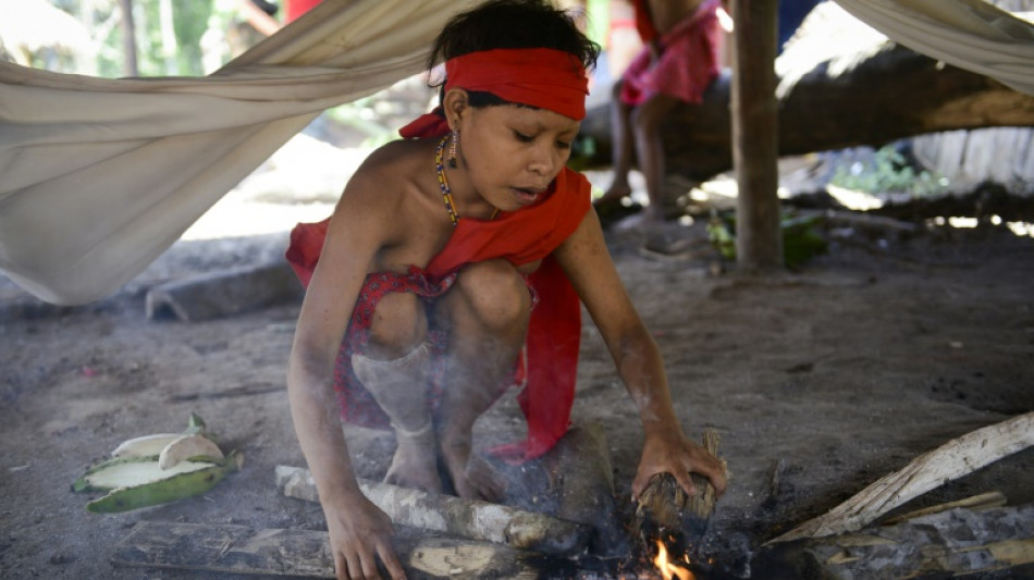 Brésil: les enfants du territoire indigène Yanomami victimes de malnutrition et du paludisme