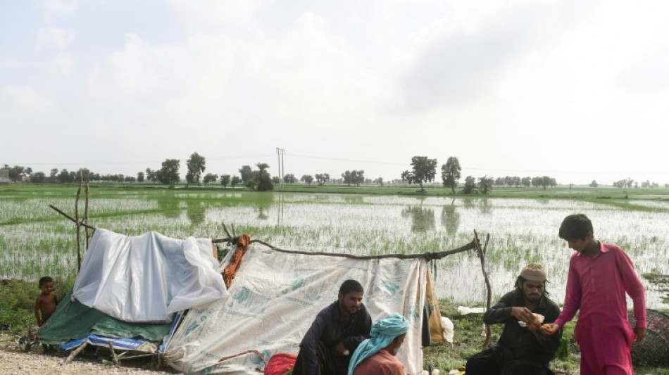 Soutien massif et allègement de la dette, la recette de l'ONU pour reconstruire le Pakistan