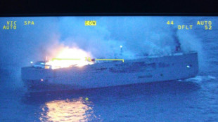 Dutch race to put out blaze on car ship