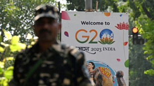 New Delhi se prépare à accueillir le sommet du G20