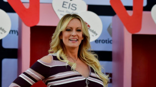 Ex-porn star Stormy Daniels 'proud' over Trump charges: UK media 