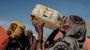 La sécheresse dans la Corne de l'Afrique menace de famine 20 millions de personnes