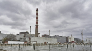 UN nuclear chief urges Russia, Ukraine to respect power plant 'principles'