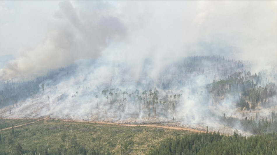 Bereits zehn Millionen Hektar Fläche durch Waldbrände in Kanada verbrannt