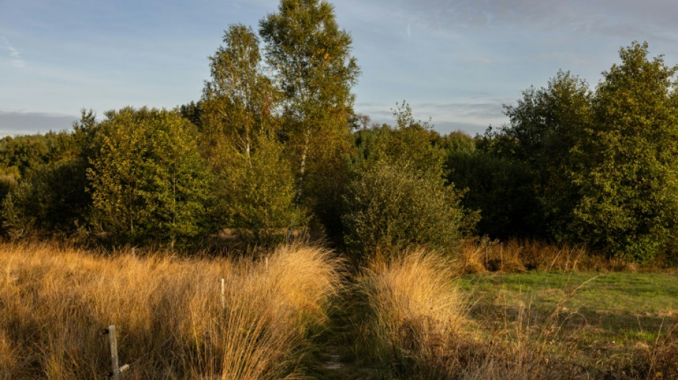 L'UE parvient à un accord sur un texte clé sur la biodiversité