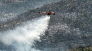 Inondations et incendies en Grèce: face aux critiques, Mitsotakis promet des réformes