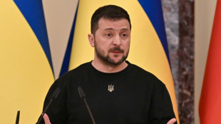 Zelensky was not warned of US secret docs leak: report