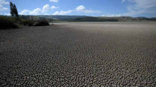 Colombian court recognizes environmental refugees 