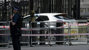 Car hits Downing Street gates but not 'terror-related': police