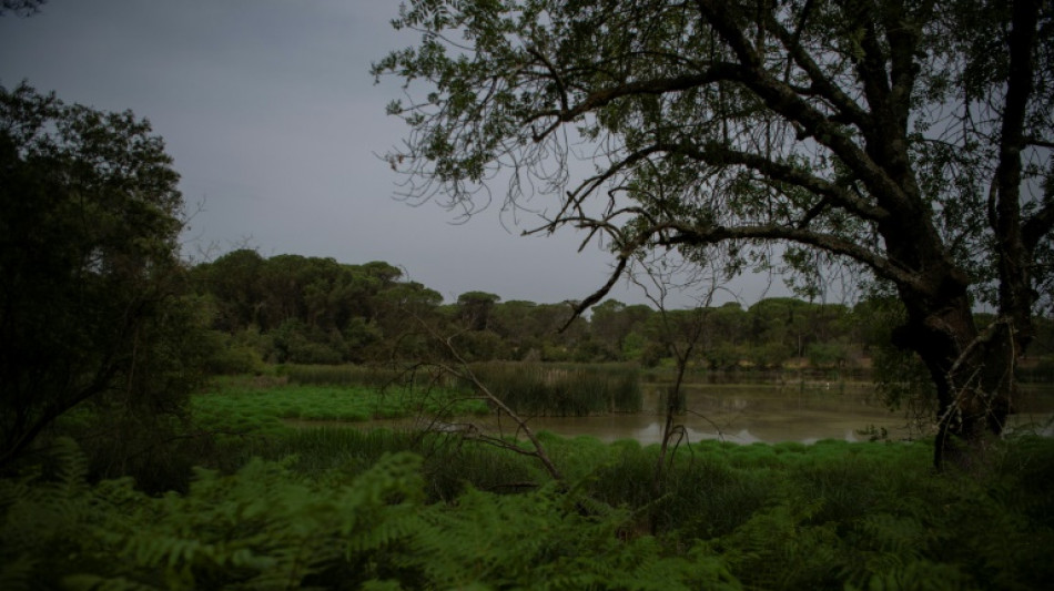 Cárcel por extraer ilegalmente agua de un amenazado parque natural español