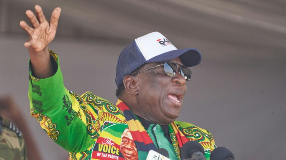 Zimbabwe: Mnangagwa, le "crocodile" au pouvoir autoritaire