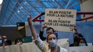 COP15 Biodiversité: les défenseurs de l'environnement craignent que l'accord final soit inopérant