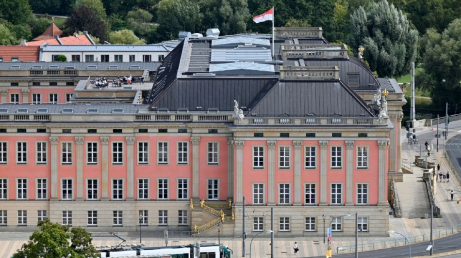 Umfrage sieht AfD vor Landtagswahl in Brandenburg vor regierender SPD